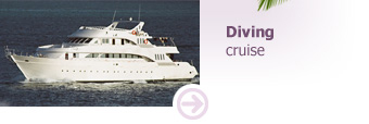 Diving cruise