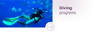 Diving programs