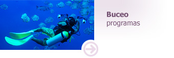 buceo programas