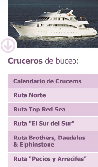 Cruceros de buceo